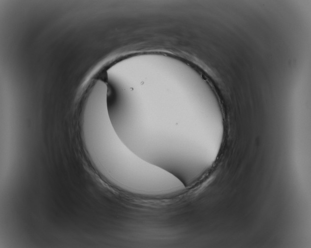 X0000086781502200705041517