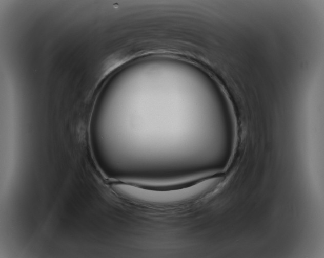 X0000086781505200705041517