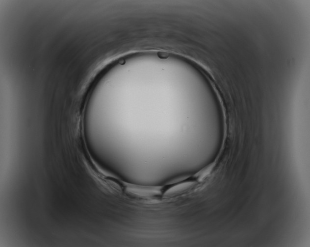 X0000086781507200705041517