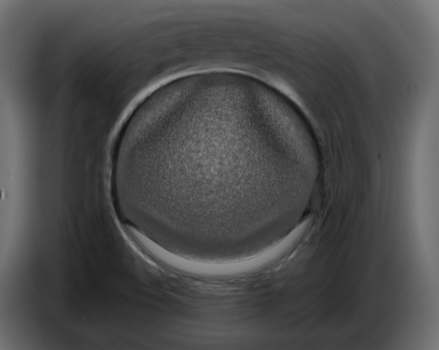 X0000086781508200705041517