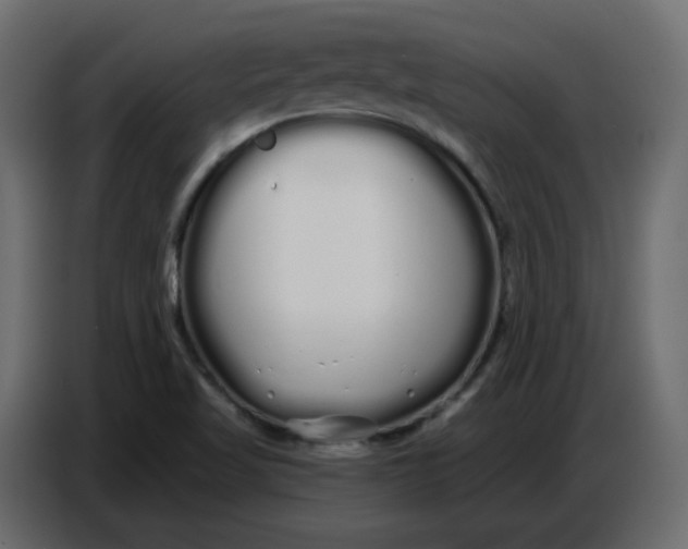 X0000086781509200705041517