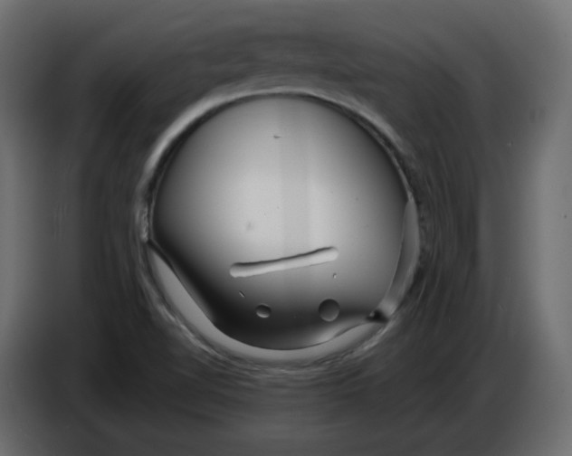 X0000086781510200705041517