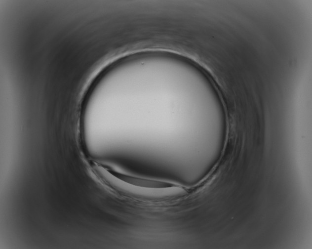 X0000086781511200705041517