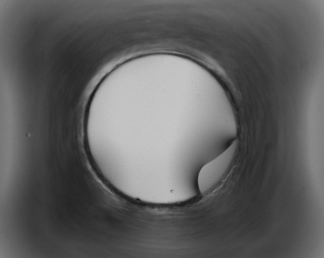 X0000086781512200705041517