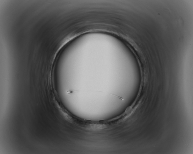 X0000086781513200705041517