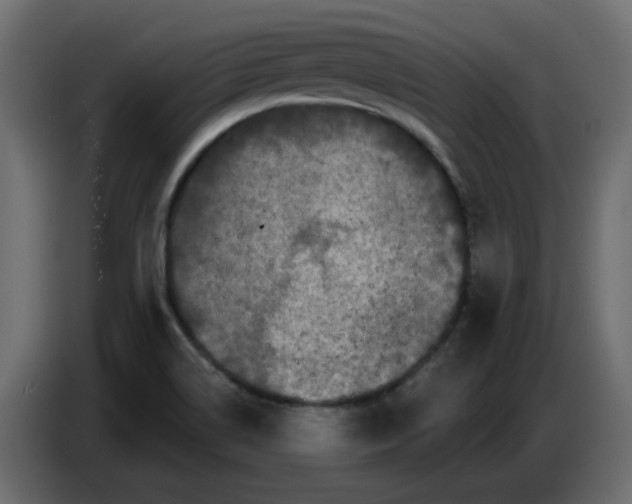 X0000086781514200705041517