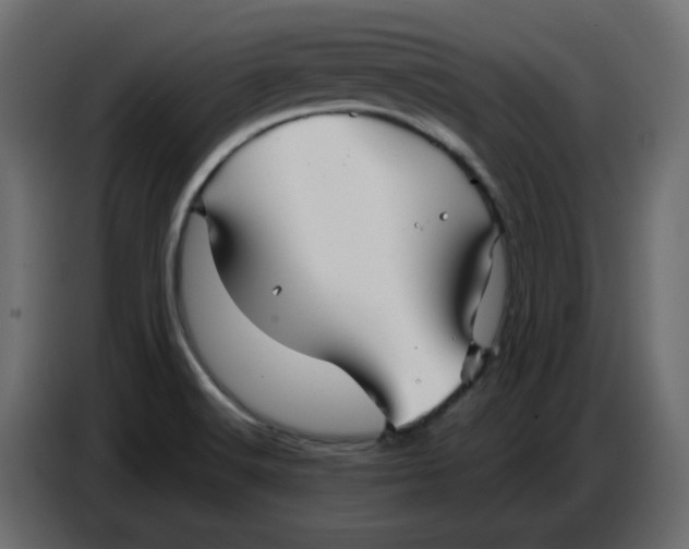 X0000086781516200705041518