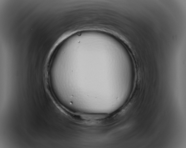 X0000086781517200705041518