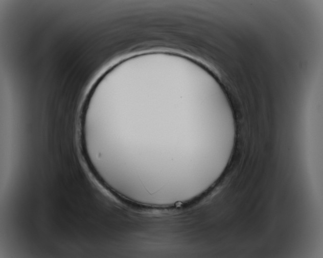 X0000086781518200705041518