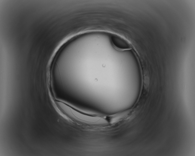 X0000086781519200705041518