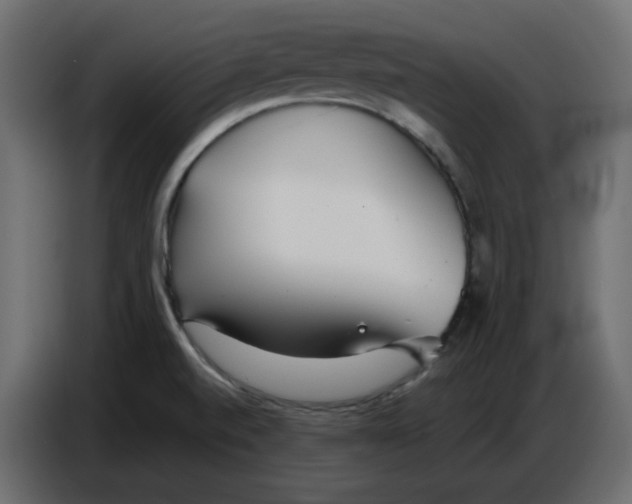 X0000086781520200705041518