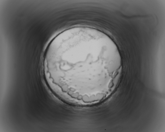 X0000086781522200705041518