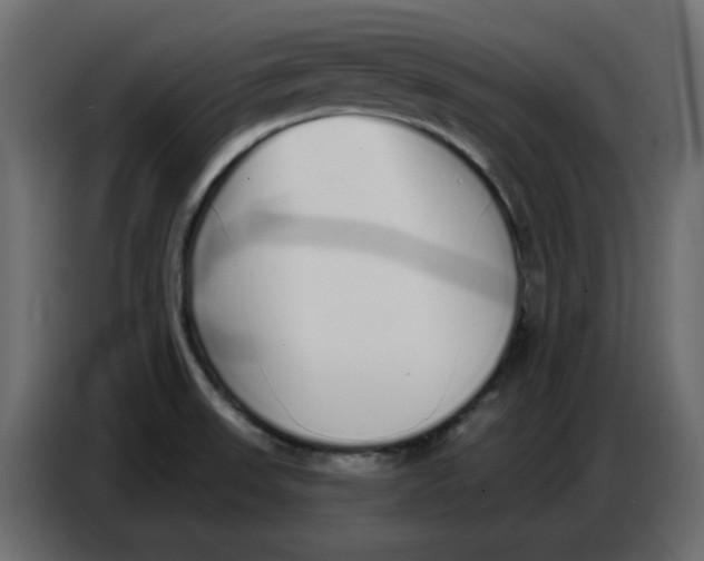 X0000086781523200705041518