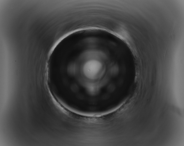 X0000086781524200705041518