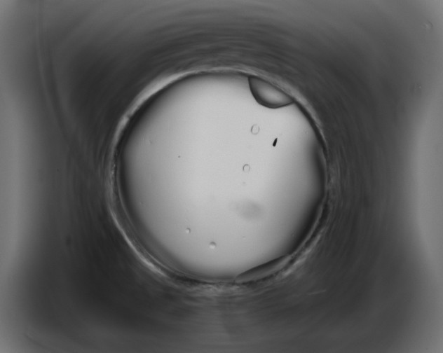 X0000086781525200705041518