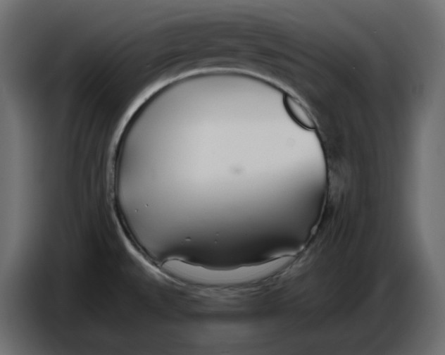 X0000086781527200705041518