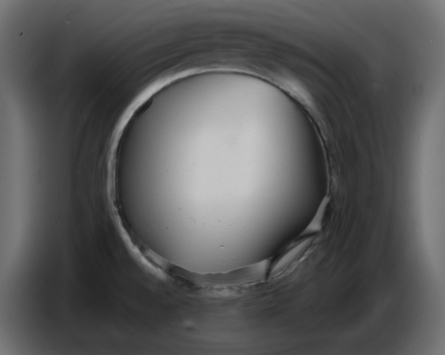 X0000086781528200705041518