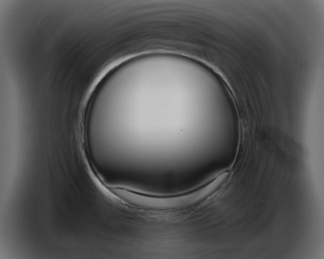 X0000086781531200705041518