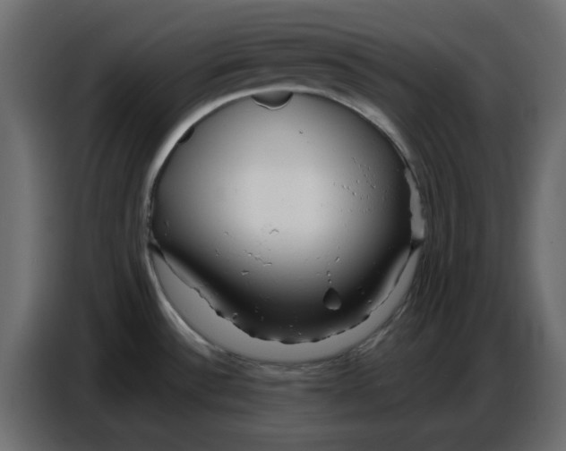 X0000086781532200705041518