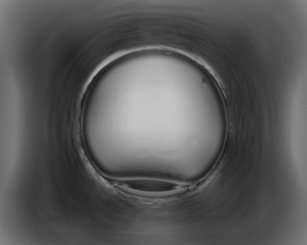 X0000086781534200705041518