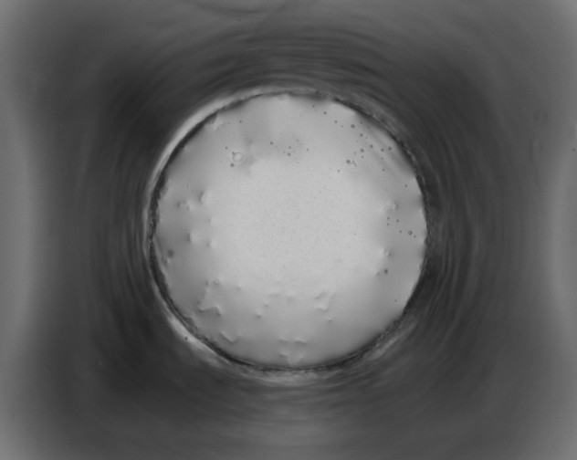 X0000086781535200705041518