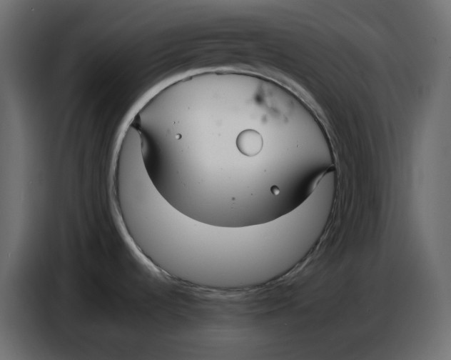 X0000086781536200705041518