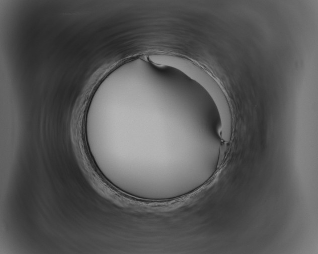 X0000086780001200705111804