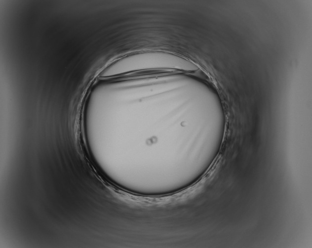 X0000086780002200705111804