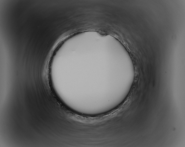 X0000086780006200705111804