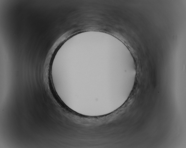 X0000086780007200705111804