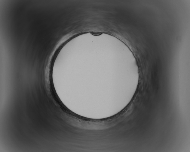 X0000086780008200705111804