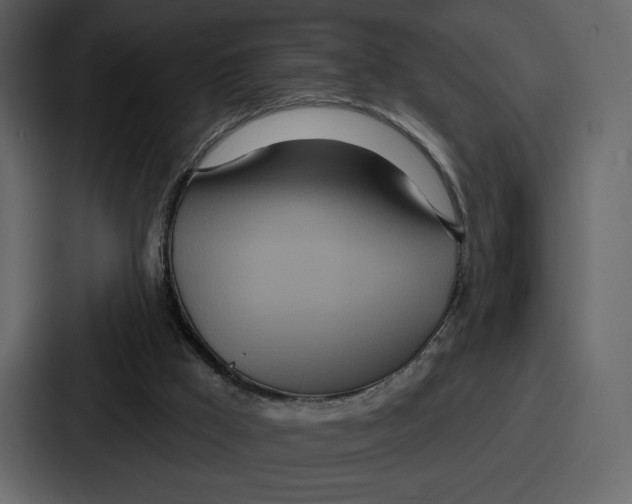 X0000086780009200705111804