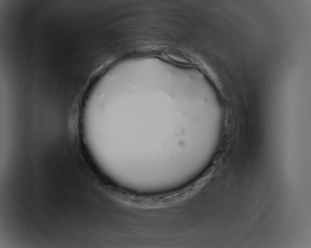 X0000086780010200705111804