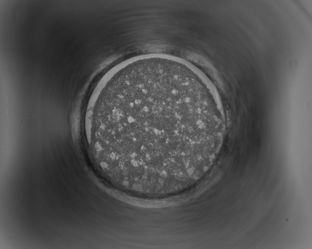 X0000086780012200705111804