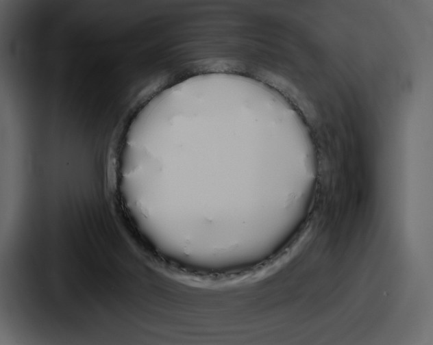 X0000086780014200705111804