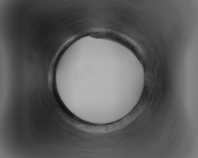 X0000086780015200705111804