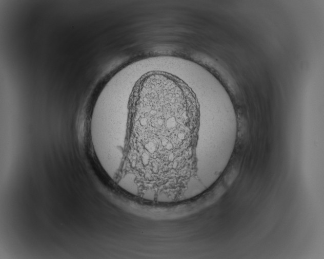 X0000086780016200705111804