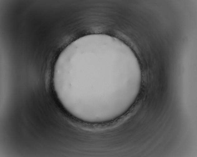 X0000086780018200705111804