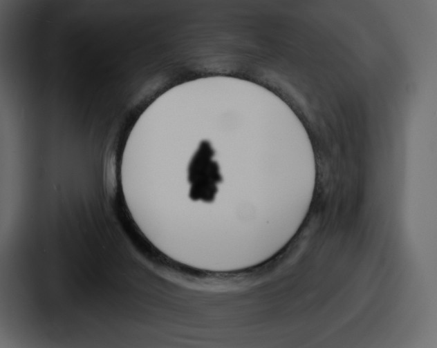 X0000086780020200705111804