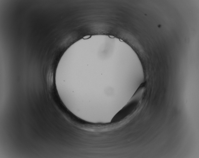 X0000086780021200705111804