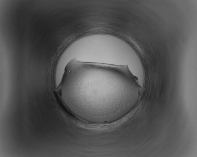 X0000086780023200705111804