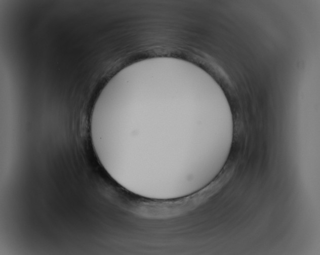 X0000086780025200705111804