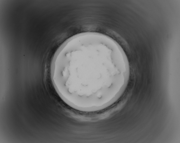 X0000086780026200705111804