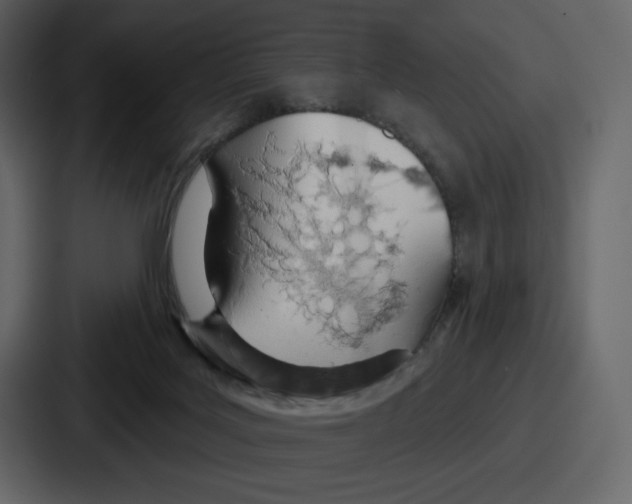 X0000086780027200705111804