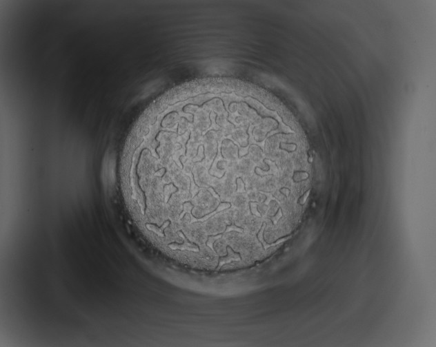 X0000086780028200705111804