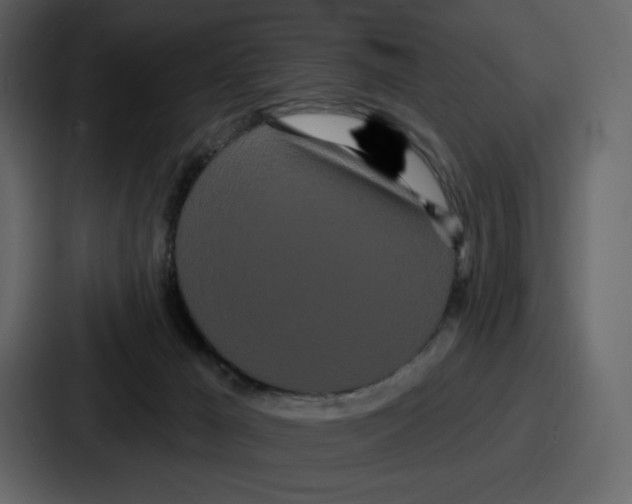 X0000086780029200705111804