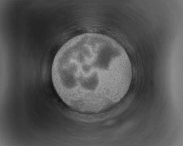 X0000086780030200705111804