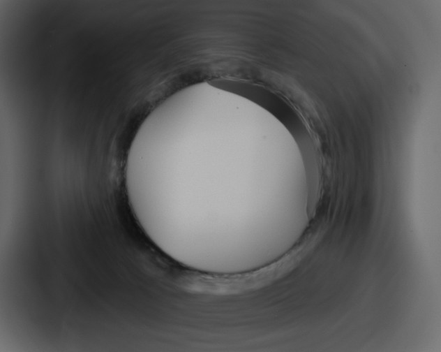 X0000086780033200705111804