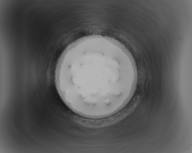 X0000086780034200705111804