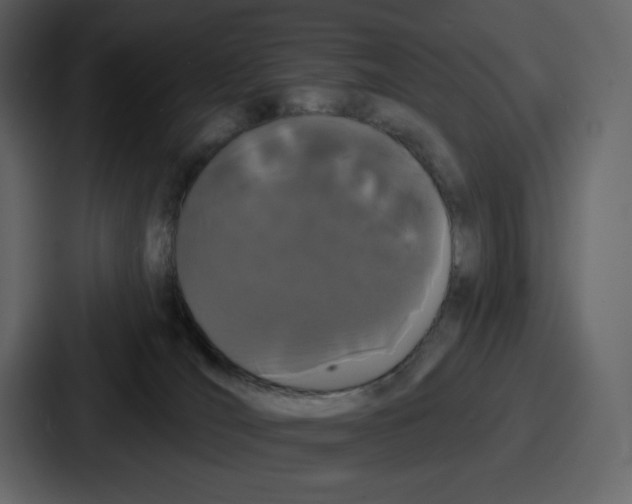 X0000086780036200705111804